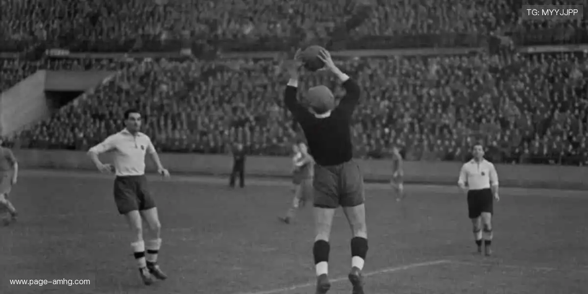 一站式电竞手机平台：职业排位掌上carry，高清团战便利